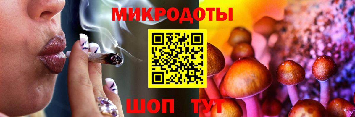 Котовск  Псилоцибиновые грибы Psilocybe  Вход с VPN  Псилоцибиновые грибы прущие грибы 